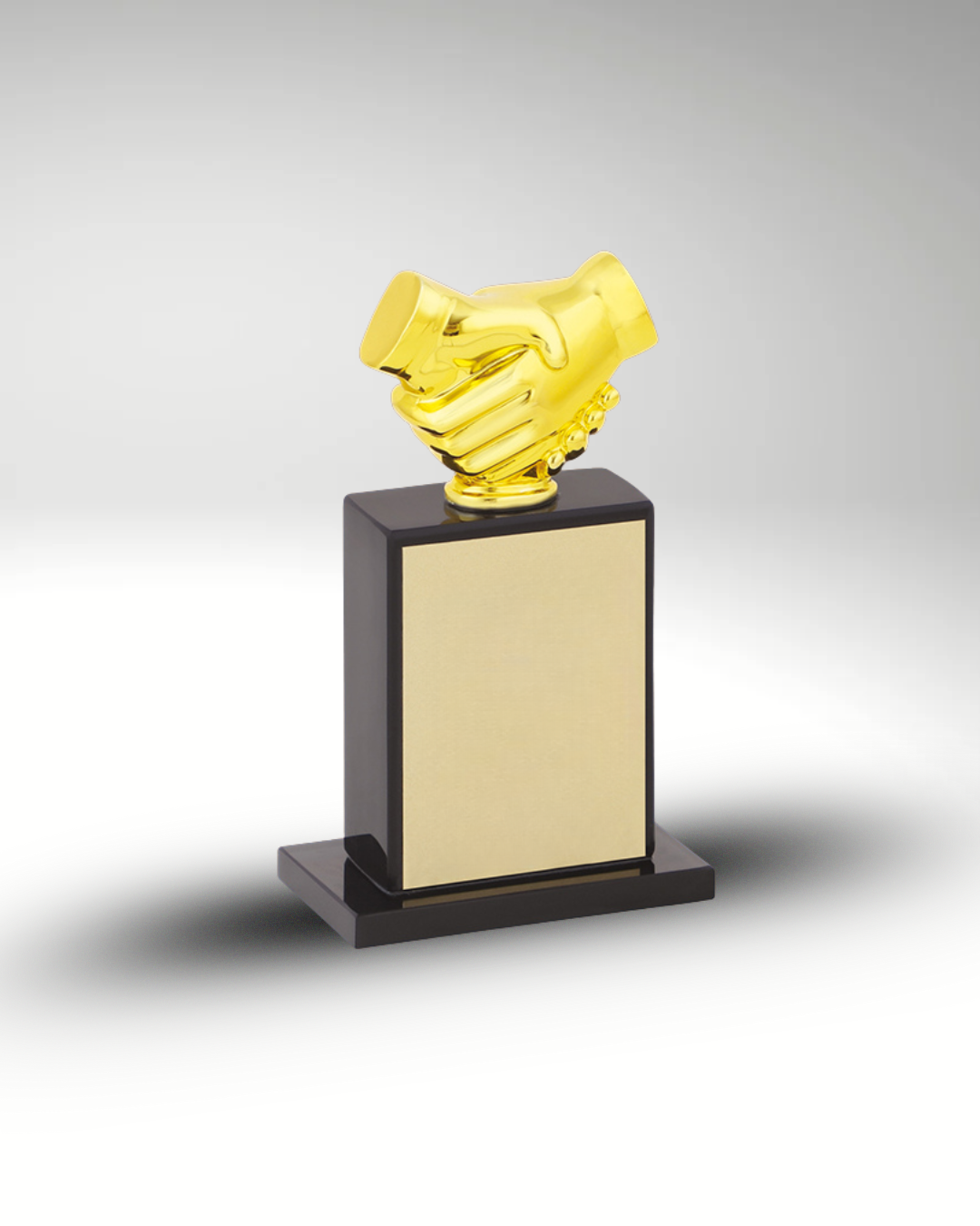 The Partnership Award