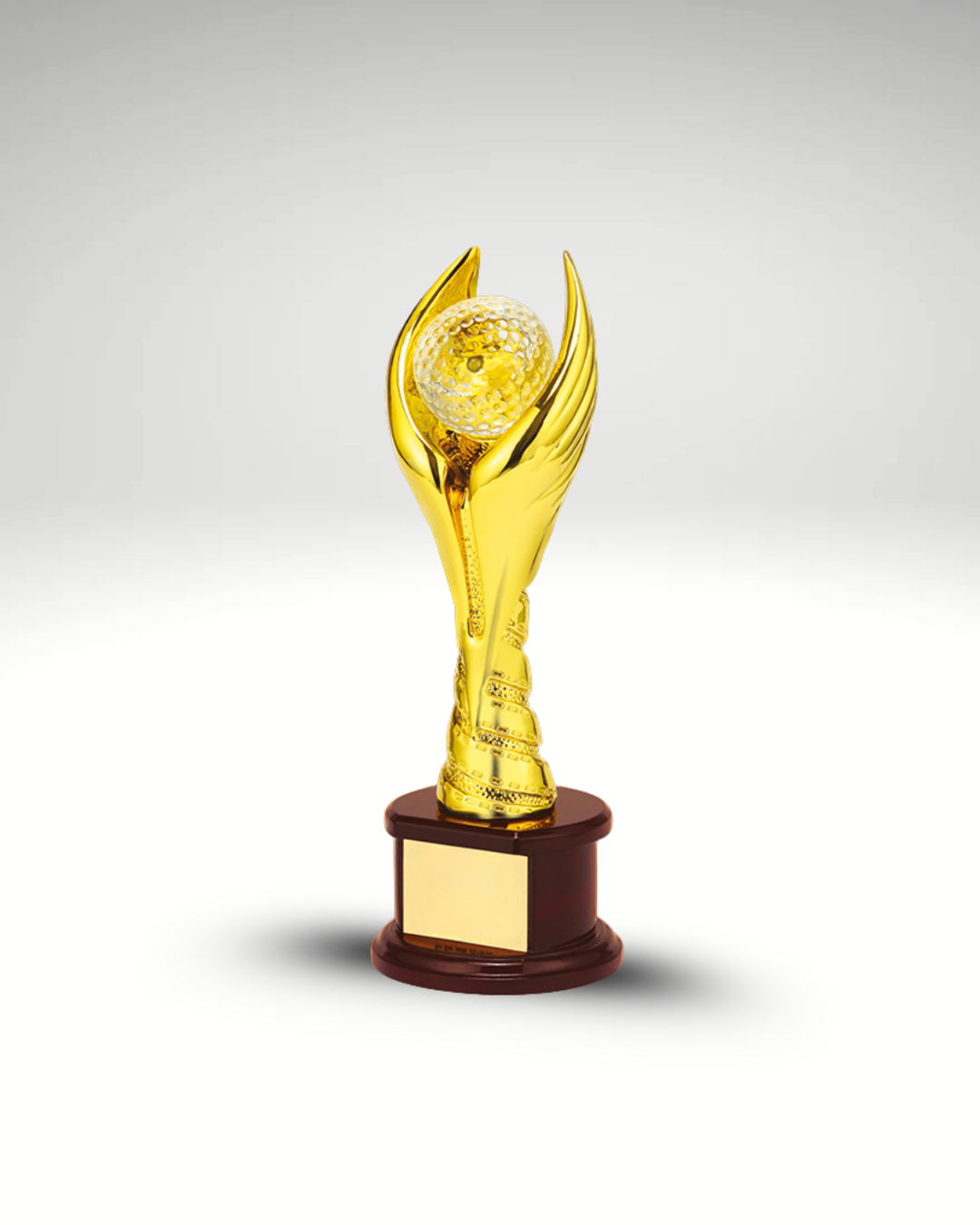 The Golden Wing Award