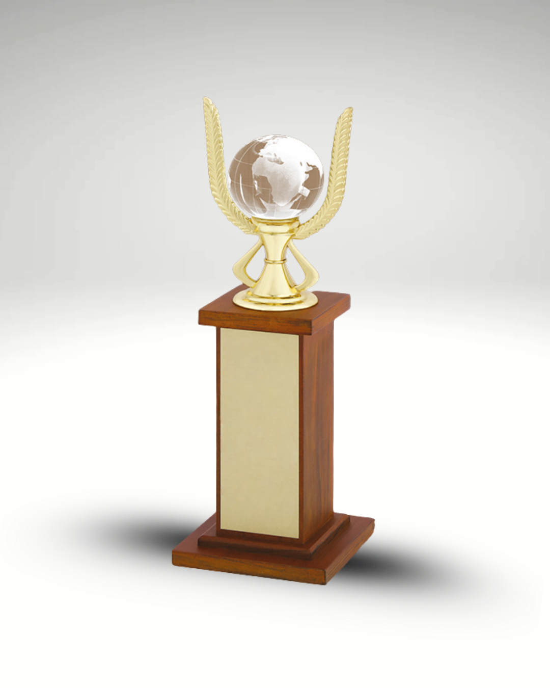 The Global Laureate Award
