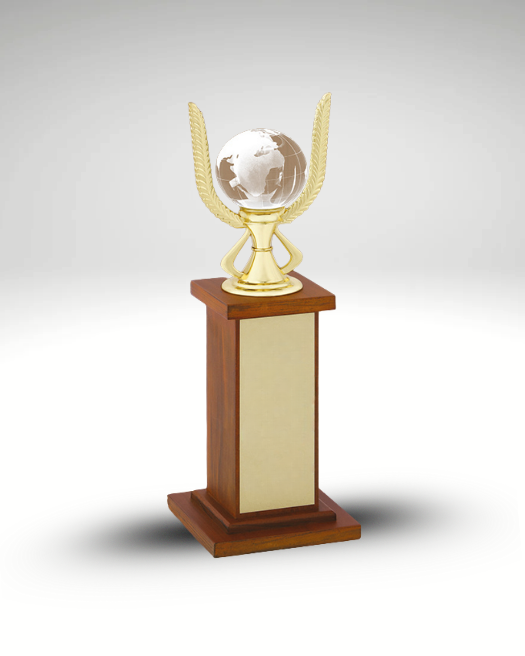The Global Laureate Award