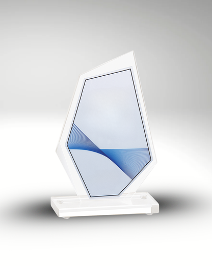 The Innovation Award