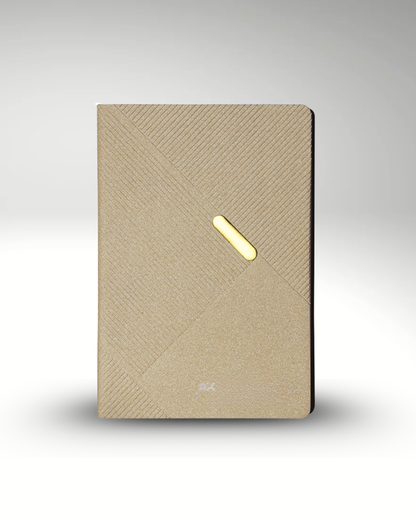 Premium Silver and Gold Leather Diary | Premium Professional Notebook