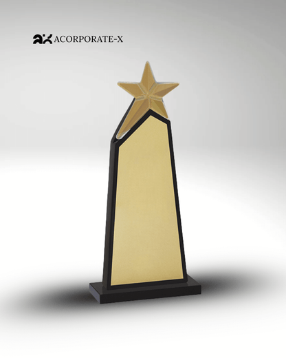 The Pinnacle Award