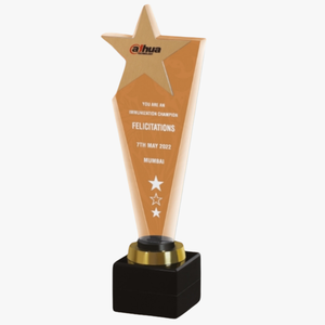 ACHIEVEMENT AWARD