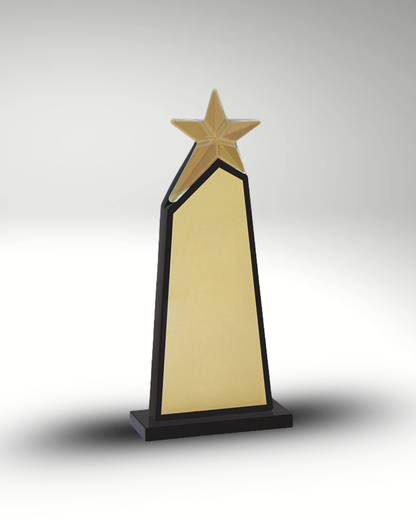 The Pinnacle Award