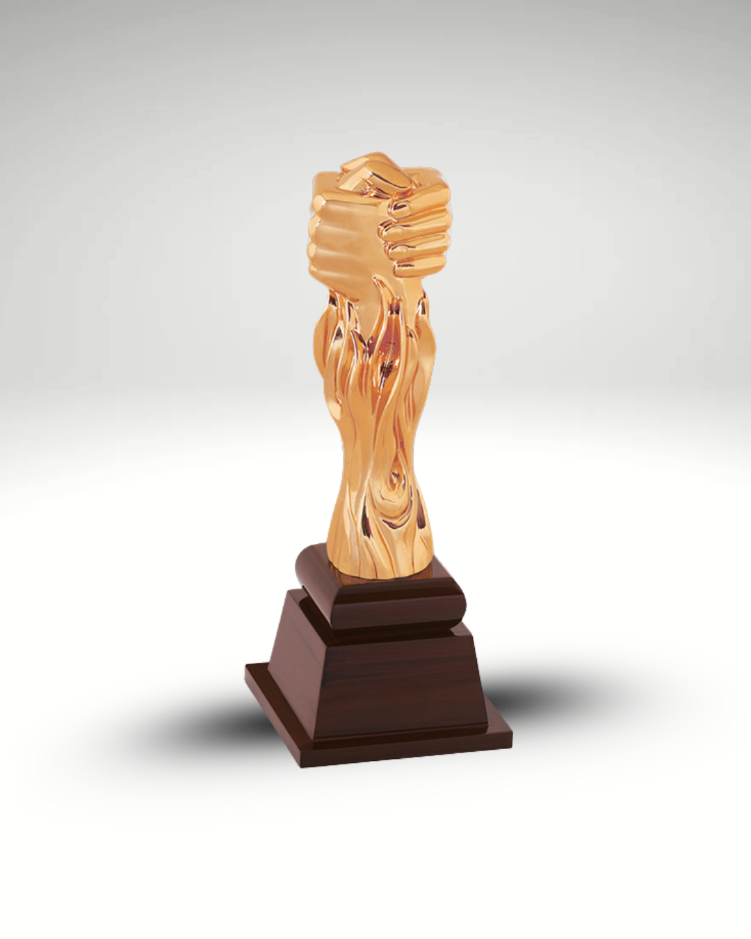 The Triumph Award
