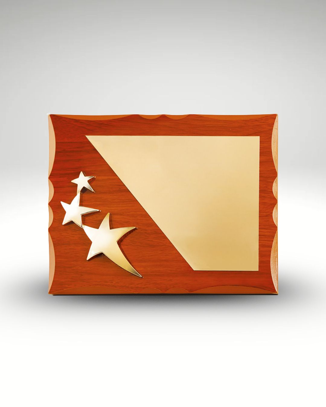 The Stellar Aegis Trophy