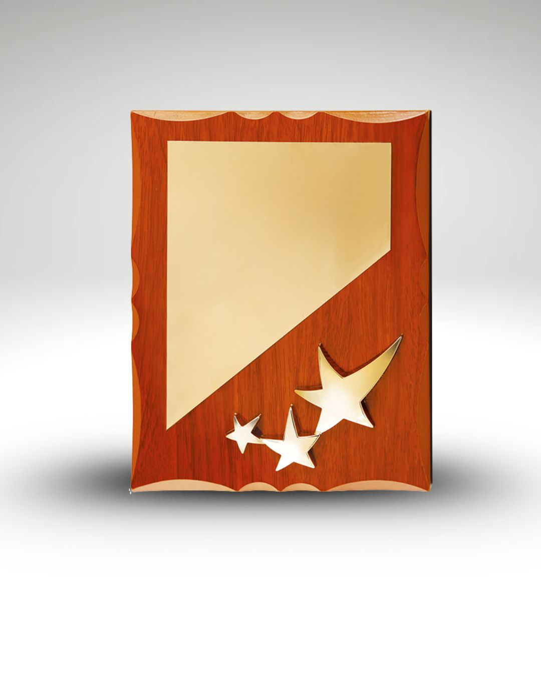 The Stellar Aegis Trophy