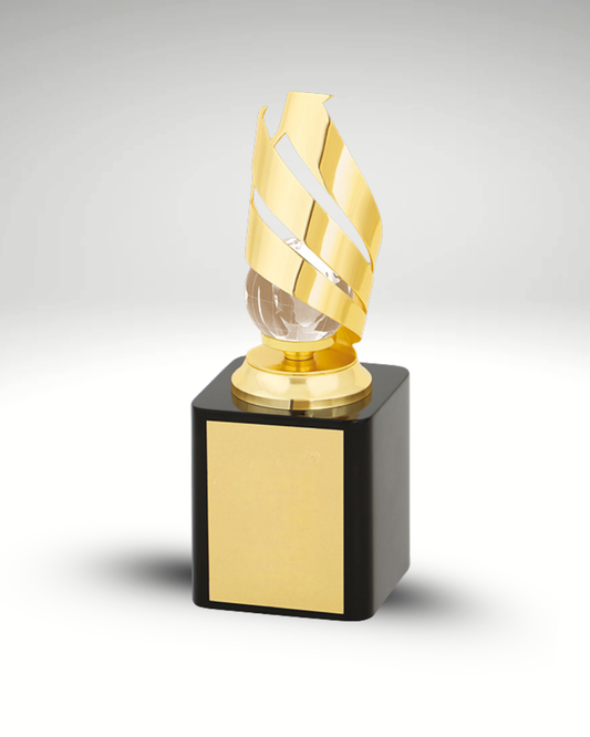 The Ignited Vision Award