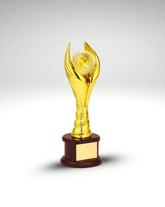 The Golden Wing Award