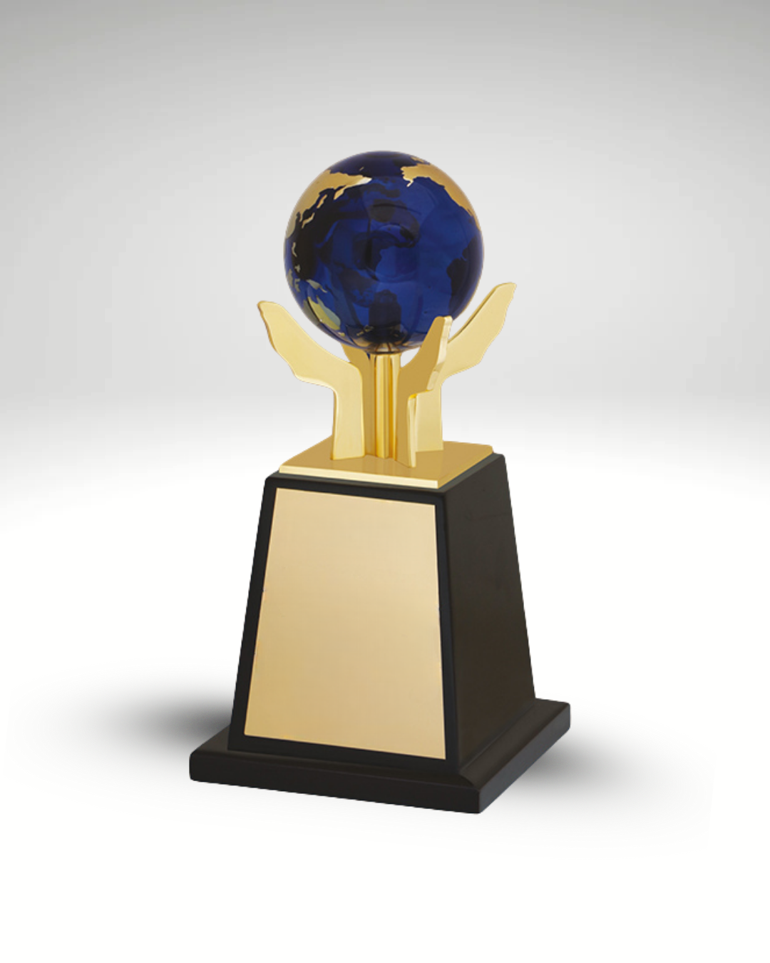 The Global Guardian Award