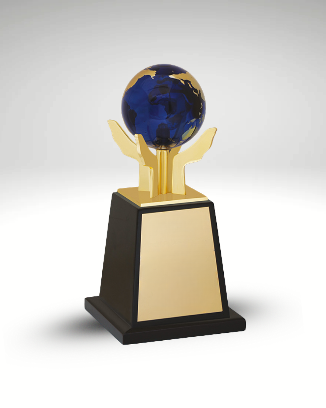 The Global Guardian Award
