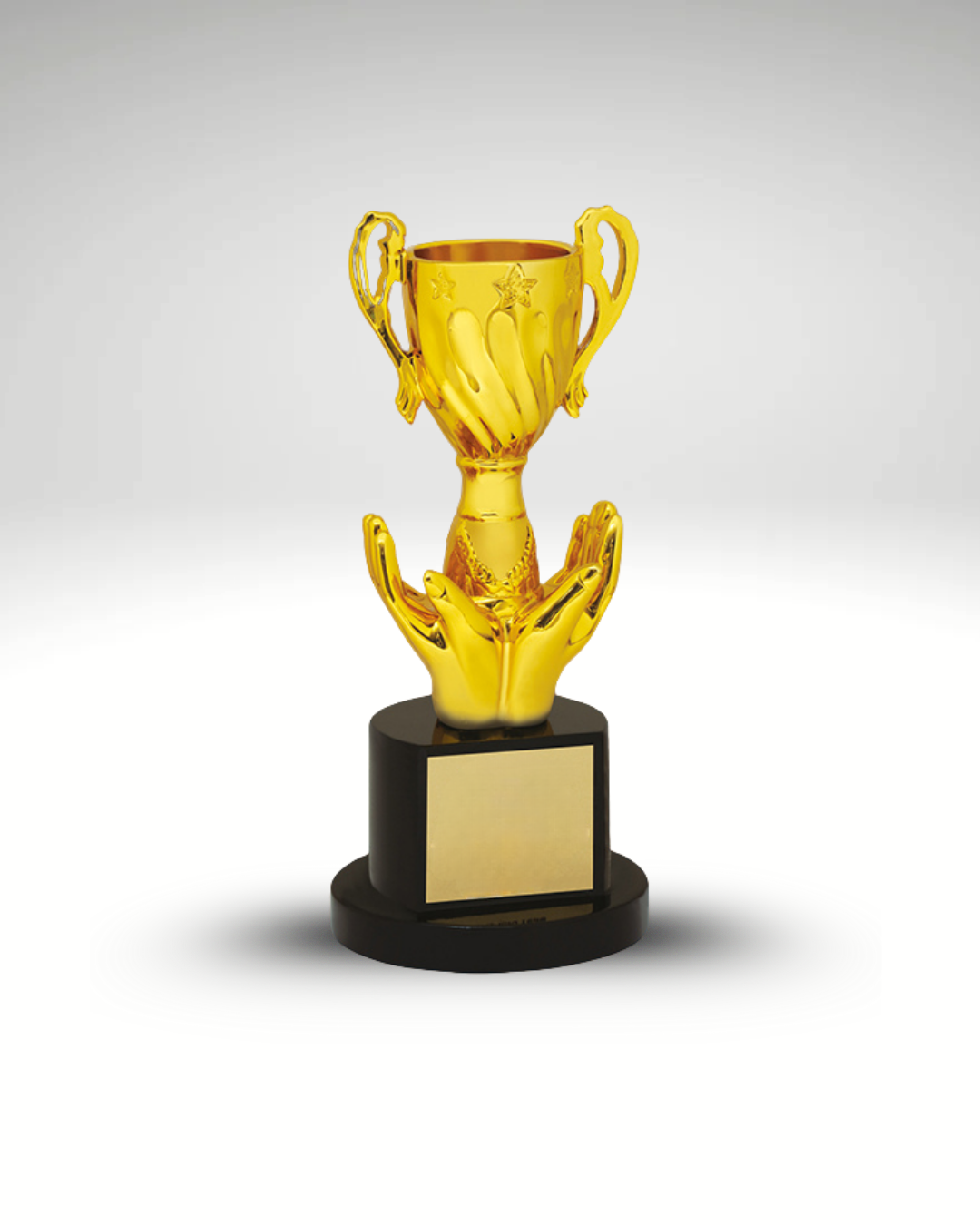 The Sustained Victory Award