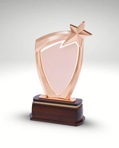 The Bravo Shield Trophy