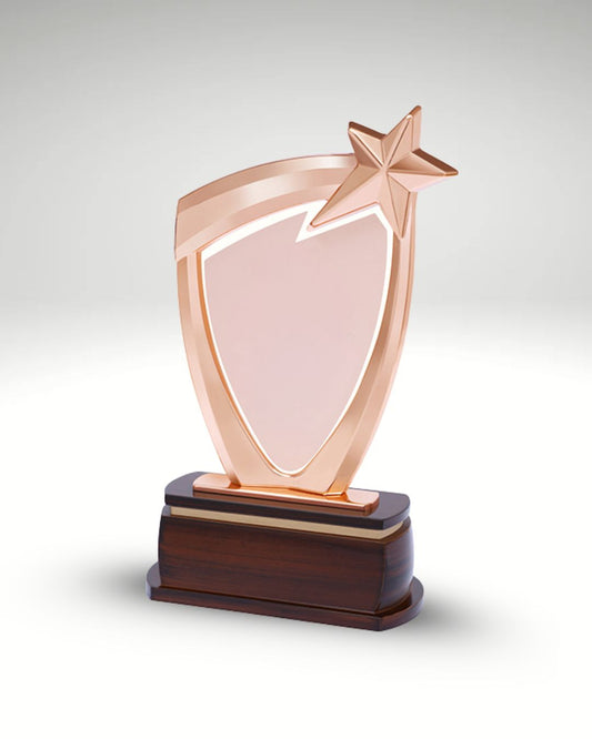 The Bravo Shield Trophy