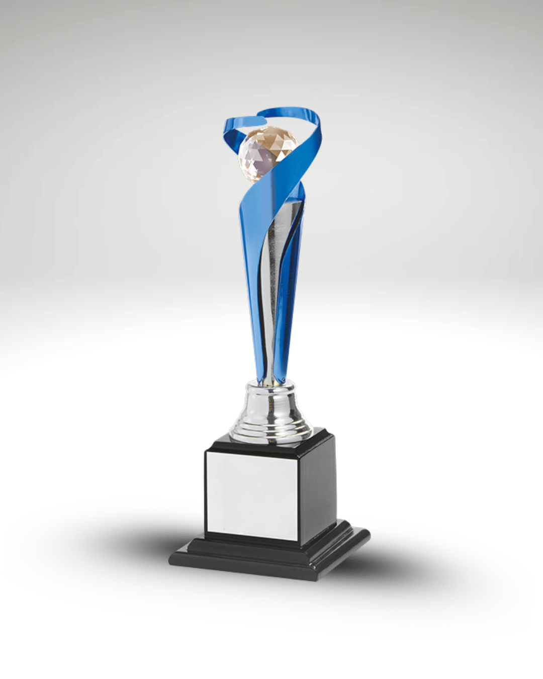 The Zenith Award