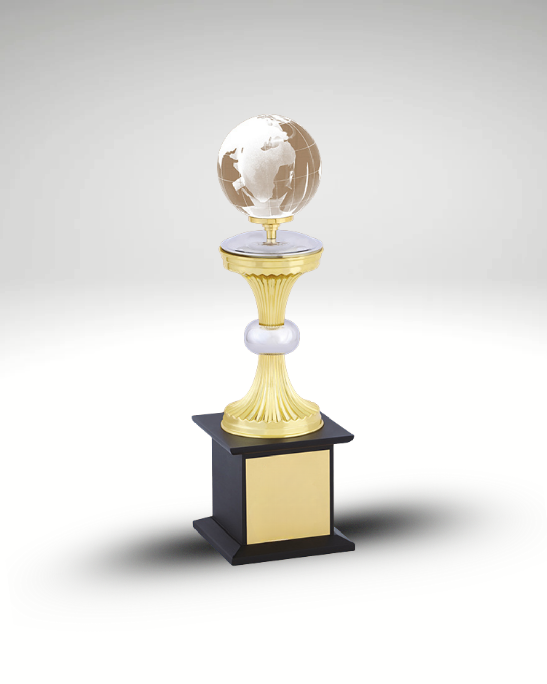 The World Legacy Award