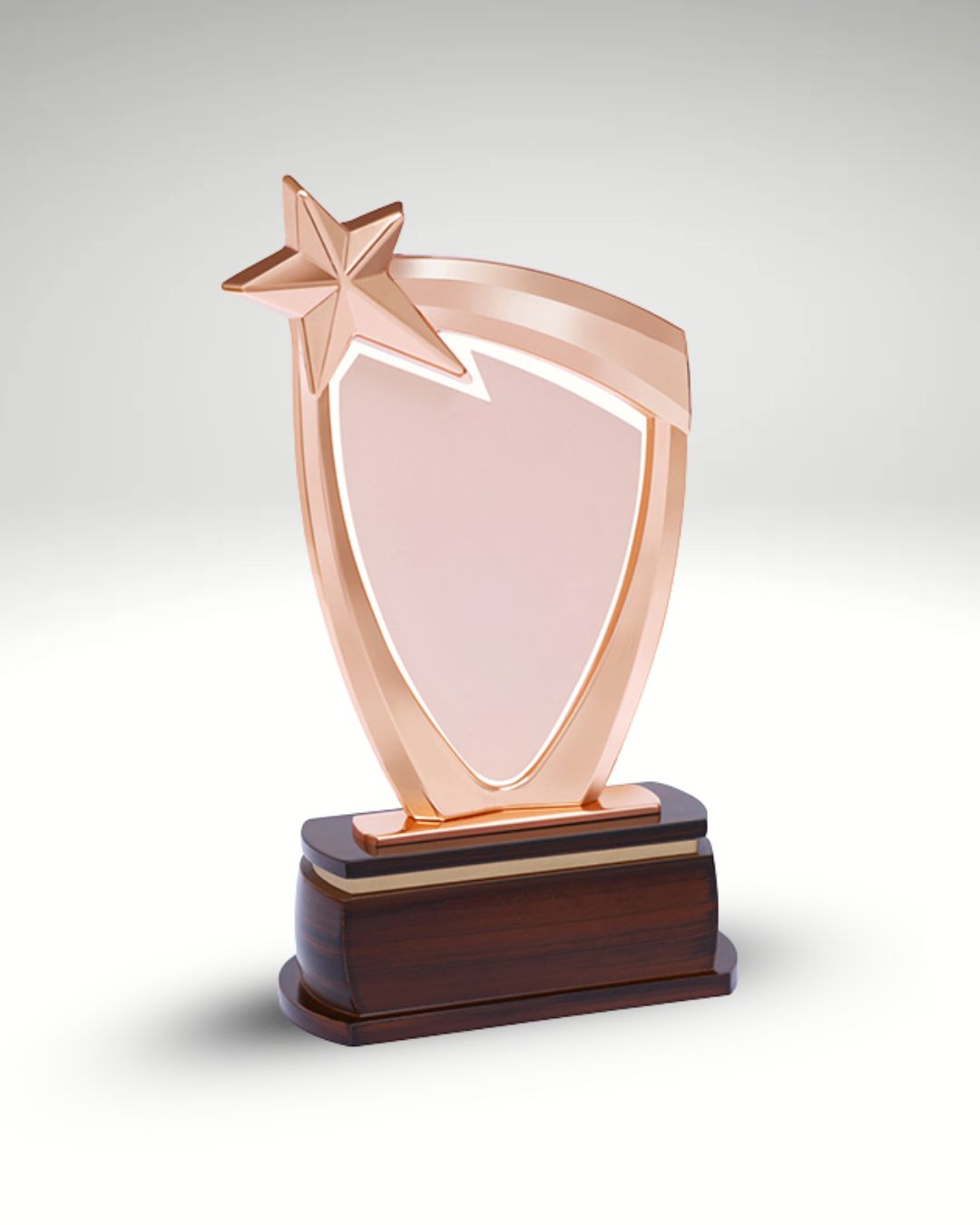 The Bravo Shield Trophy