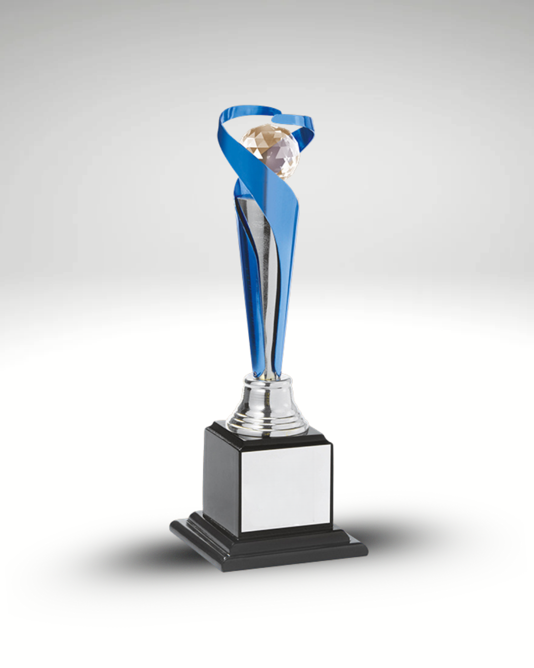 The Zenith Award