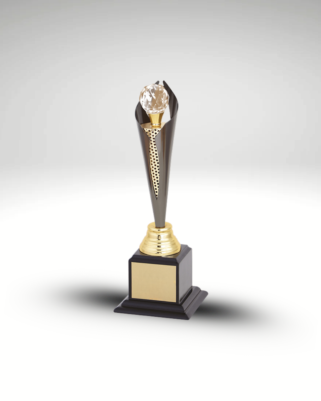 The Vanguard Trophy