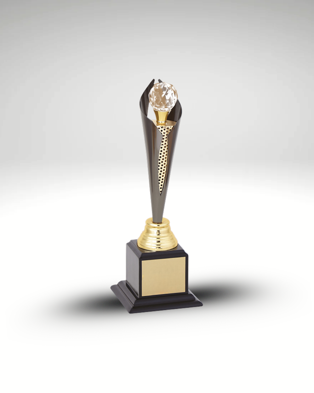 The Vanguard Trophy