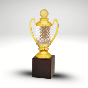 trophies & awards